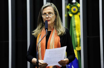 Para Maria Lúcia, PEC 241 oficializa uma fraude (Foto: Nilson Bastian)