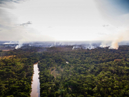 Cícero Pedrosa Neto/Amazônia Real / Fotos Públicas