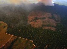 Riscos das mudanças climáticas podem ser ensinados nas escolas, prevê projeto do PT