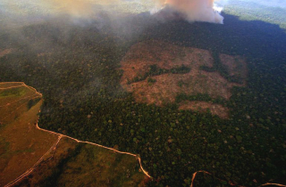 notice