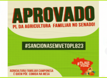 Senado aprova PL de ajuda a agricultores familiares, mas falta Bolsonaro sancionar