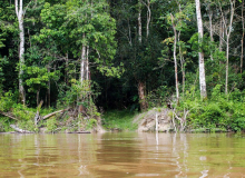 Bolsonaro cria programa que estimula garimpo na Amazônia Legal