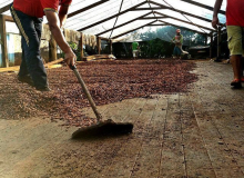 Especulação financeira aumenta fome no mundo