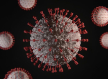 Covid-19: Ômicron já foi detectada em 17 países