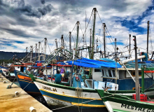 Sem repasses do seguro-defeso pelo INSS, pescadores gaúchos passam fome