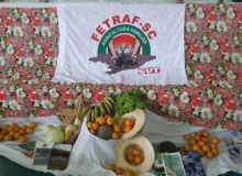 Nota da FETRAF-SC sobre Operação “Carne Fraca”