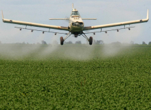 70% dos agrotóxicos usados no Brasil são altamente perigosos