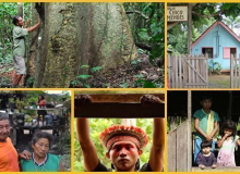 Sociedade civil se mobiliza para ajudar povos da floresta contra covid-19