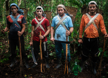 TVT exibe documentários sobre meio ambiente em parceria com festival de cinema