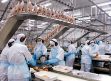 JBS Aves terá de pagar R$ 1,2 milhão de indenização por dano moral coletivo
