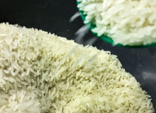 Ataques do governo à agricultura familiar colaboram com alta dos alimentos