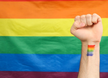 Conselho Nacional LGBTQIA+ critica ataques da Rede Trans Brasil à sua composição
