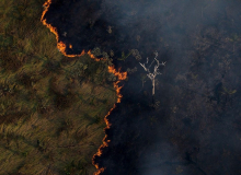 Avanço da devastação na Amazônia é falta de governança, aponta especialistas