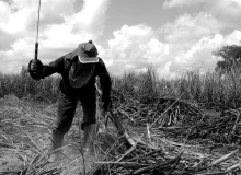 Comissão contra trabalho escravo lança moção criticando PL