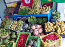 Segurança alimentar é obrigação prioritária do Estado