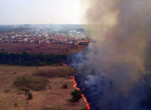 Biodiversidade do Pantanal queima junto com fazendas