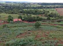 Bolsonaro abandonou reforma Agrária, denuncia MST e Contag