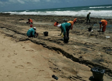 Manchas óleo nas praias do Nordeste têm impactos econômicos, sociais e humanos