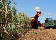 Com queda na agropecuária, PIB recua 0,1% no segundo trimestre do ano