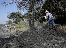 Incêndio criminoso atinge assentamento do MST no Paraná