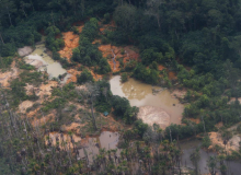 Garimpo ilegal devasta área de 118 hectares em Rondônia e no Amazonas