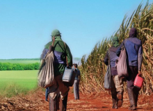 Temer acaba com a aposentadoria do assalariado rural