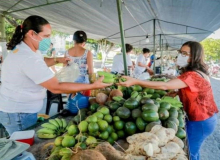 Contag comemora derrubada de veto presidencial a apoio para agricultura familiar