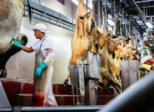 Senado aprova PL de Bolsonaro que permite ao agro fiscalizar o próprio negócio