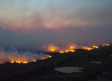 Queimadas recordes afetam trabalho, renda e vida de quem vive no Pantanal