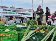 Agricultura familiar é tratada com descaso por Bolsonaro e Alcolumbre, afirma Fetraf