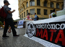 Redução de impostos para agrotóxicos, incluída na reforma, será combatida no Senado