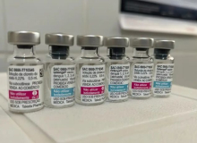 Vacinação contra dengue vai priorizar faixa etária de 6 a 16 anos