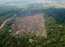 ‘Pacote da Destruição’ é duro golpe contra o meio ambiente e afeta gerações futuras