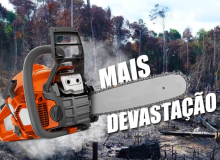 PEC dos Fundos vai acabar com políticas de combate ao desmatamento na Amazônia