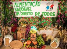 Cooperativas são fundamentais para combater a fome e a desigualdade no Brasil
