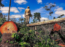 Dieese defende ‘empregos verdes’ para o pós-pandemia