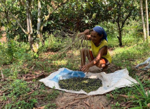 Mulheres são linha de frente no combate a ações predatórias em quilombo no Pará