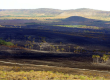 Fogo queimou um quinto do Brasil em quase quatro décadas