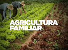 Entidades se mobilizam para derrubar veto de Bolsonaro a auxílio para agricultores
