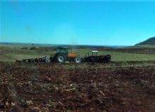 Comunidade do MST tem lavouras destruídas por fazendeiro e capangas no Paraná