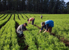 CUT defende agricultura familiar e a agroecologia fortes para o desenvolvimento