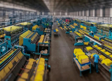 Empresa do interior de SP reduz jornada para 6 horas e produtividade cresce 25%