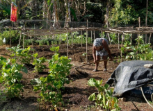 Privatização da Eletrobras compromete a produção e segurança alimentar do país