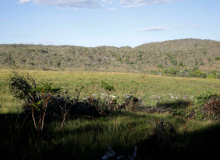 Campeãs em desmatamento, terras privadas têm 62% do Cerrado nativo