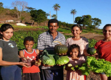 Pelo quarto ano consecutivo governo corta crédito para a agricultura familiar