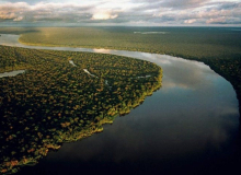 Após vitória de Lula, Noruega anuncia que vai desbloquear Fundo Amazônia