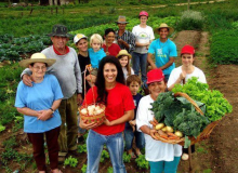 Sem juventude no campo produção de alimentos ficará ameaçada