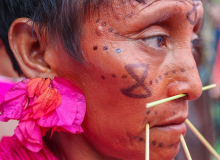 Lula assina decreto que proíbe garimpo ilegal em Território Yanomami