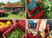 Câmara aprova auxílio emergencial de R$ 600 para agricultores familiares