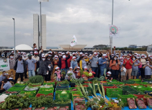 Trabalhadores cobram derrubada de vetos à lei de incentivo à agricultura familiar